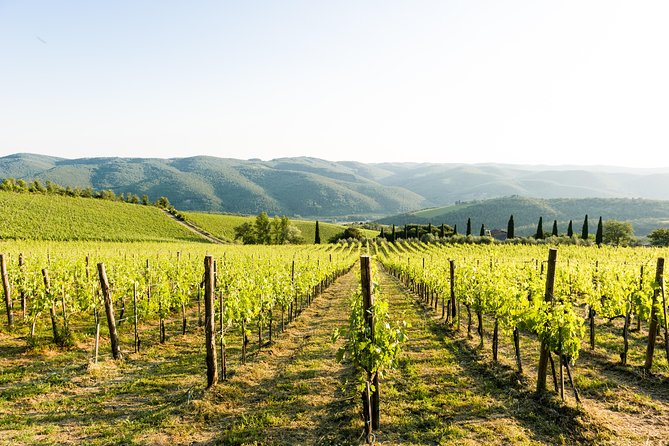 Tour and Tasting at an Organic Winery in the Heart of Chianti Classico Area - Winery Location