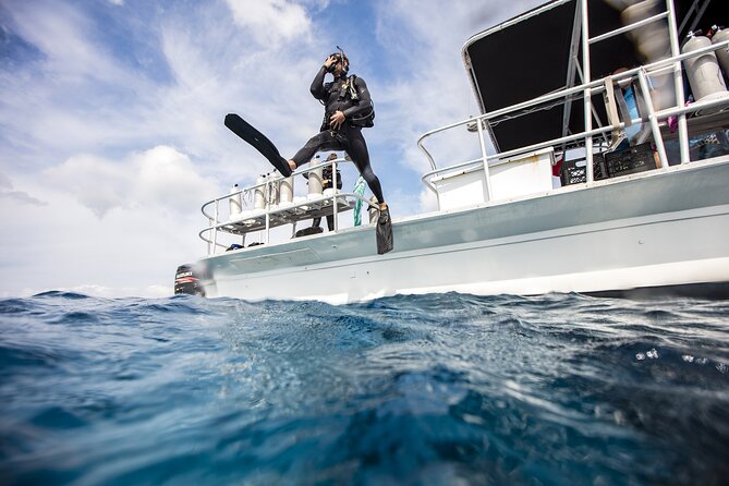 Two Dive Tour Las Catalinas Islands - Dive Experience Overview