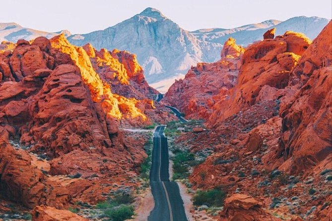 Valley of Fire and Mojave Desert Day Tour From Las Vegas - Traveler Reviews and Recommendations