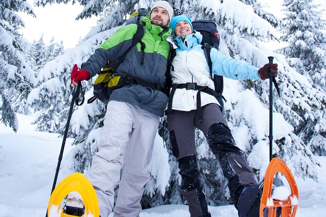 Vancouver: North Shore Mountains Small-Group Snowshoeing Tour - Cancellation Policy