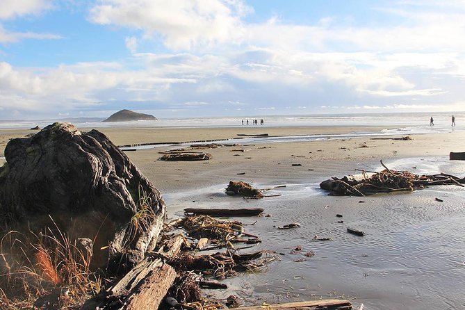 Vancouver to Tofino 2 Day Tour Private - Dining and Culinary Experiences