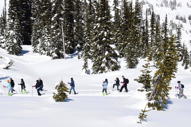 Viator Exclusive Day-Tour From Seattle to Mt. Rainier - Booking and Refund Policy