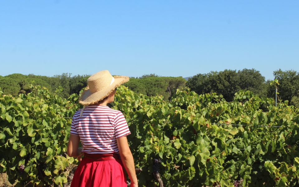 Vintage Wine Tour in Saint-Tropez - Activity Highlights of the Tour