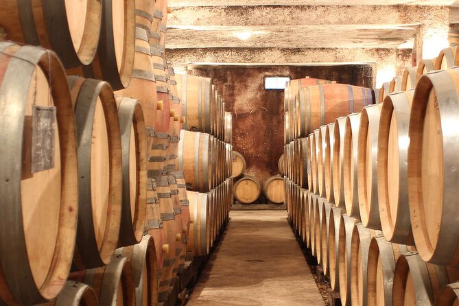 Visit of Cellars - Tasting Sale - Booking and Logistics