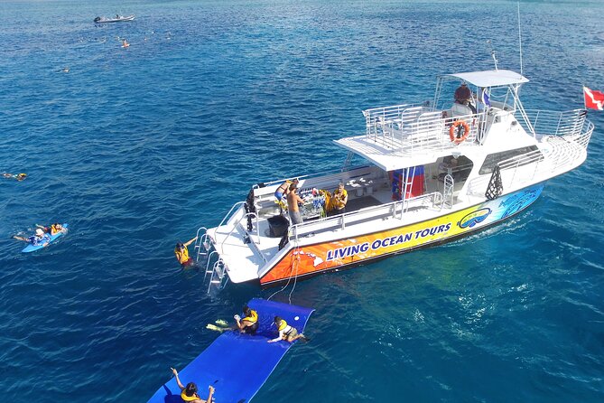 Waikiki: Turtle Canyon Snorkeling Tour From Honolulu  - Oahu - Inclusions and Exclusions