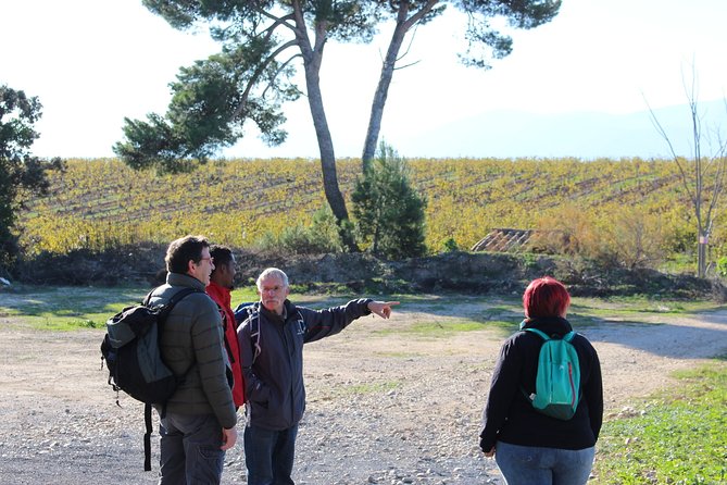 Walks in the Heart of the Secret Vineyards Around Collioure, Tastings - Booking Details