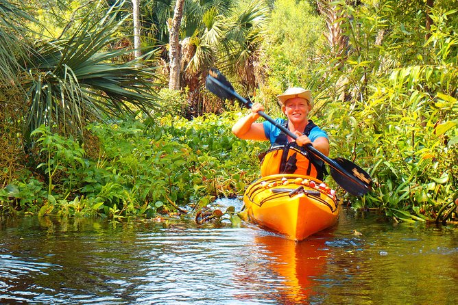 Wekiva River Guided Kayak Tour - Itinerary Details