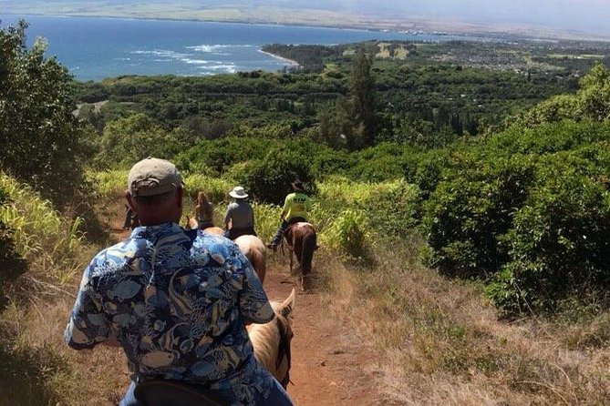 West Maui Mountain Waterfall and Ocean Tour via Horseback - Customer Feedback