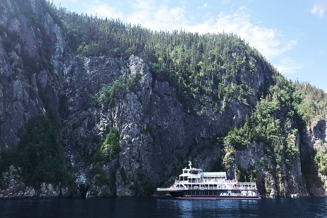 Whale Watching Cruise From Tadoussac or Baie-Ste-Catherine - Customer Reviews