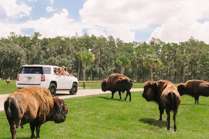 Wild Florida Drive-Thru Safari and Gator Park Admission - Photo Opportunities and Stops