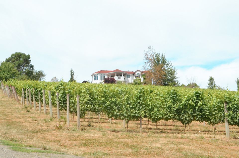 Willamette Valley Wine Tour (Tasting Fees Included) - Booking Information