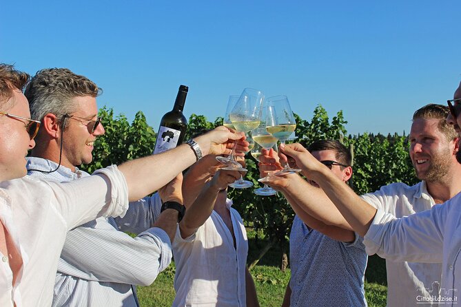 Wine and Food Tasting in the Vineyards in Lazise - Detailed Grape Variety Information