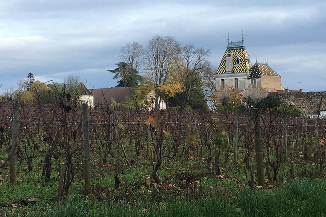 Wine Tour - Meursault, Its Prestigious Whites - History of Meursault Wines