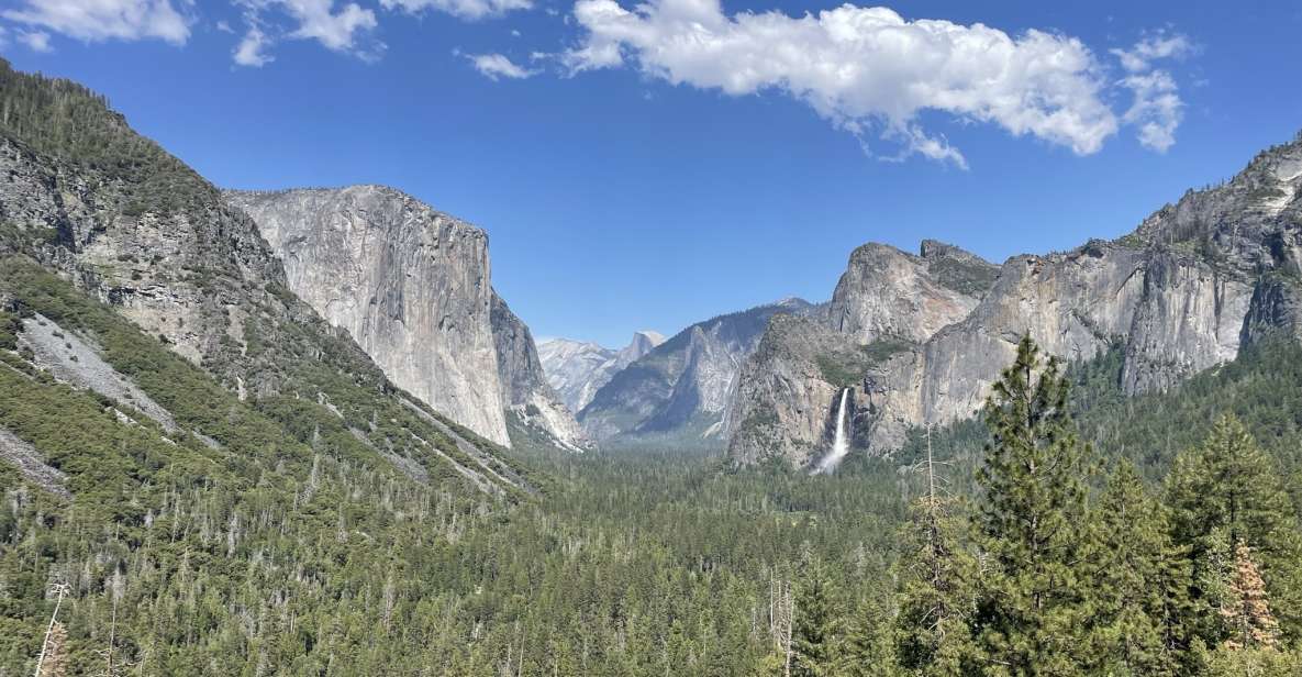 Yosemite, Giant Sequoias, Private Tour From San Francisco - Experience Highlights in Yosemite