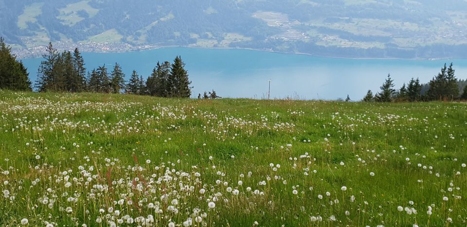 Zurich: Private Panoramic Alpine Tour - Multilingual Driver and Hotel Pickup