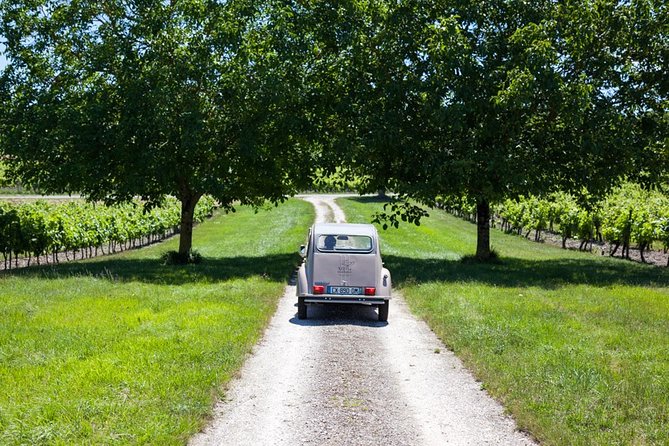 2CV Ride in the Cognac Vineyards - Key Points