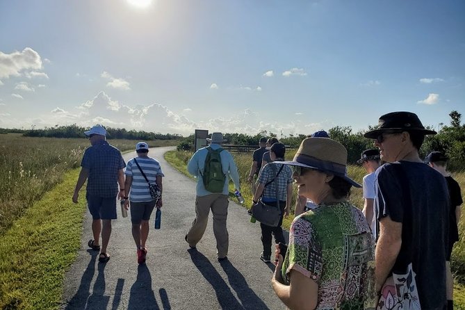 1-Hour Air Boat Ride and Nature Walk With Naturalist in Everglades National Park - Tour Highlights and Reviews