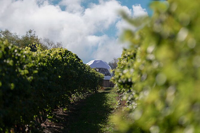 1 Hour Private Vineyard Dome Experience in Niagara-on-the-Lake - Accessibility and Support