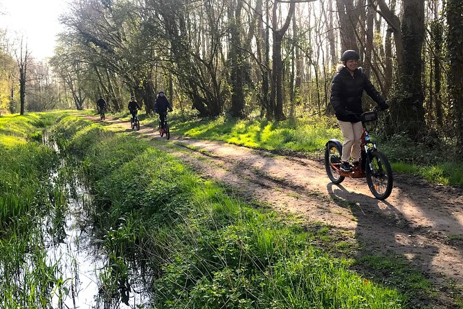 2 Hours Discovery Tour of Versailles on Electric 2 Wheels - Cancellation Policy