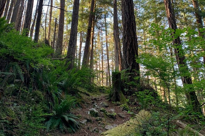 3-Hour Bike Tour - Stanley Park & the World-Famous Seawall - Booking Information