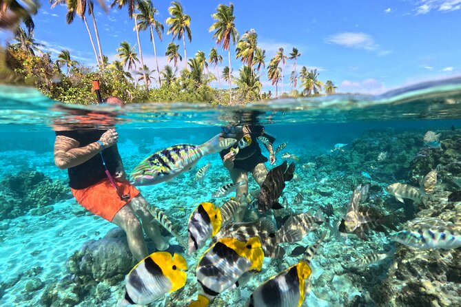 3 Hour Jetski Excursion Around Tahaa - Final Words