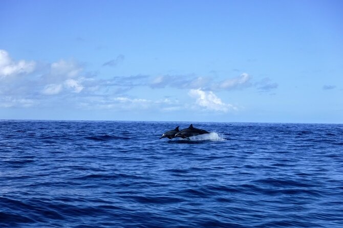 4-hour Kailua-Kona Ocean Kayak and Snorkel Tour - What To Expect