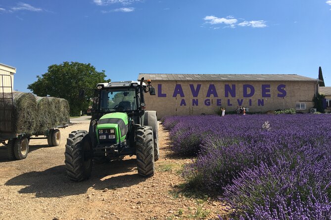 4-Hour Lavender Fields Tour in Valensole From Aix-En-Provence - Traveler Experience