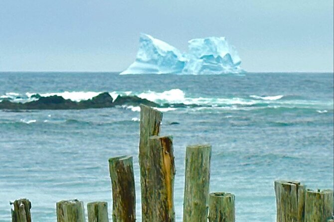 4 Hour St John'S Tour W Come From Away Star (Lunch Included) - Traveler Photos and Insights