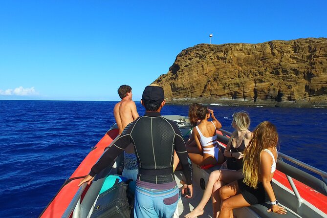 4-HR Molokini Crater Turtle Town Snorkeling Experience - Customer Experience