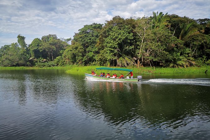 5hr Combo-Panama Canal Boat Safari & Jungle Walk W/ Local Brunch - Meeting and Pickup Information