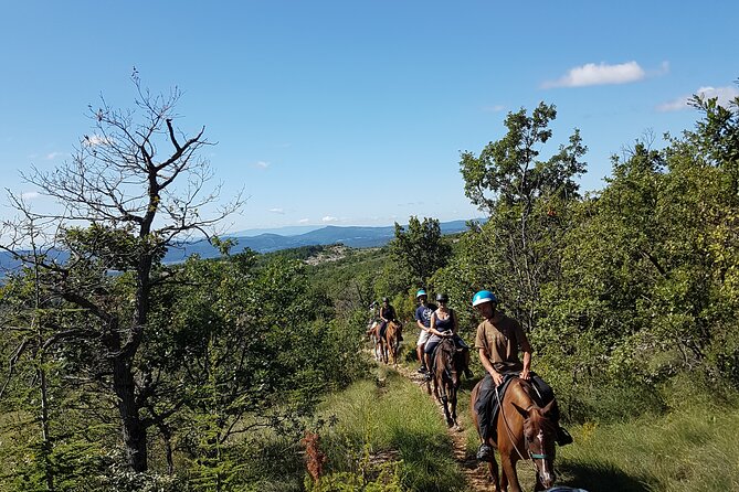 A Small-Group, Guided Haute-Provence Horseback Tour  - Moustiers-Sainte-Marie - Cancellation Policy