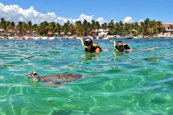 Akumal; Snorkeling and Photos With Turtles - Booking Information and Expectations