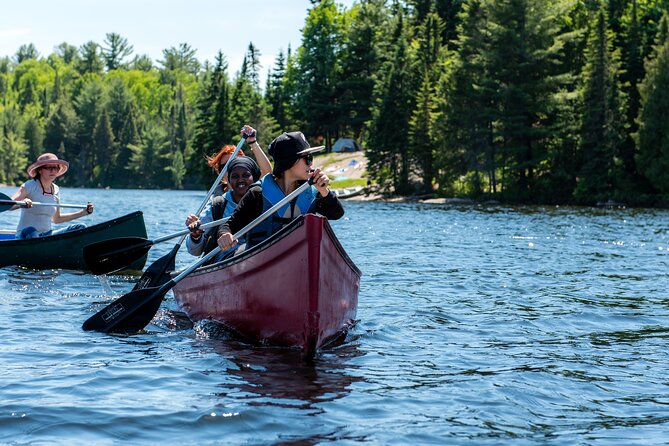 Algonquin Park Luxury 3-Day Camping & Canoeing: Moose/Beaver/Turtle Adventure - Safety Measures