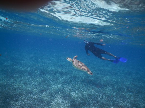 All Inclusive Snorkeling at Hol Chan - Pickup and Drop-off Details