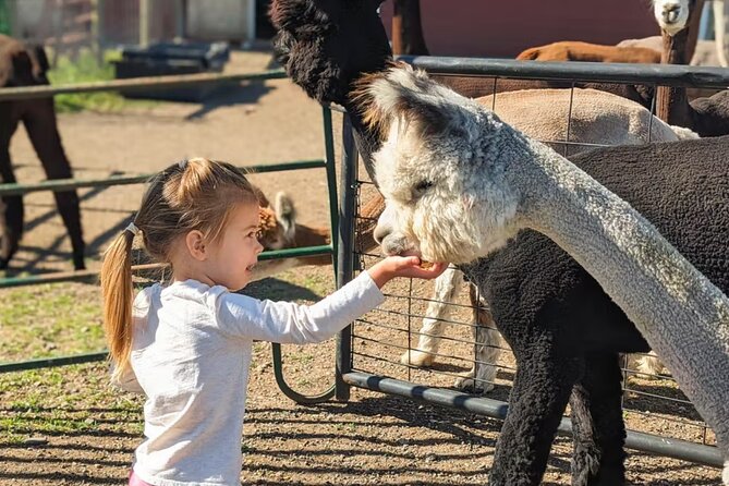 Alpaca and Llama Farm Tour - Booking Details