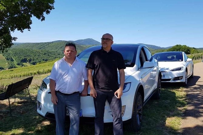 Alsace Private Tailored Tour in a Tesla With a Local - Pricing Details