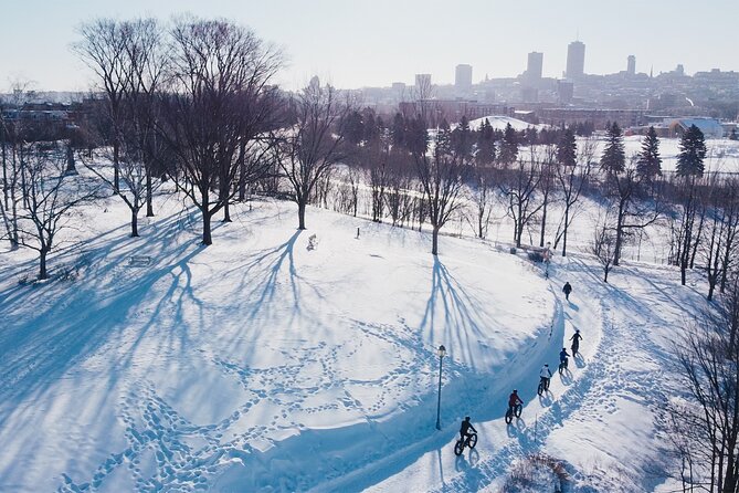 Amazing Winter Guided Biking Adventure in Old Quebec - Experienced Local Guides