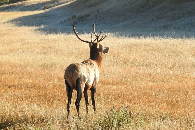 Banff Deep 1 Day Tour in Banff National Park - Reviews and Ratings