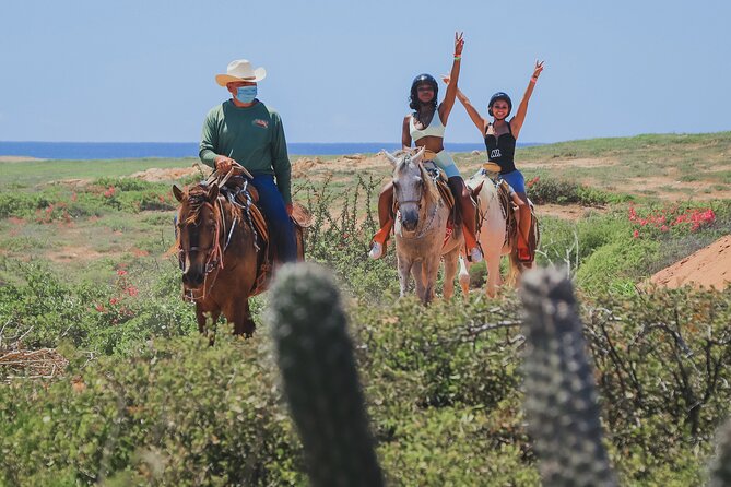 Beach UTV & Horseback Riding COMBO in Cabo by Cactus Tours Park - Experience Expectations