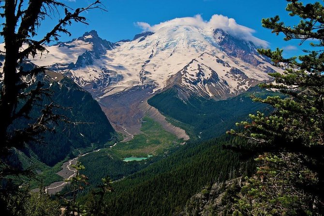Best of Mount Rainier National Park From Seattle: All-Inclusive Small-Group Tour - Customer Experiences