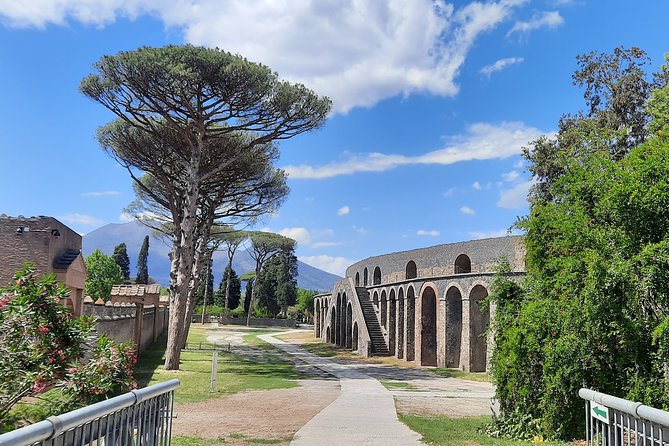 Best of Pompeii - 2 Hour Private Tour With Alex - Meeting Point and Logistics