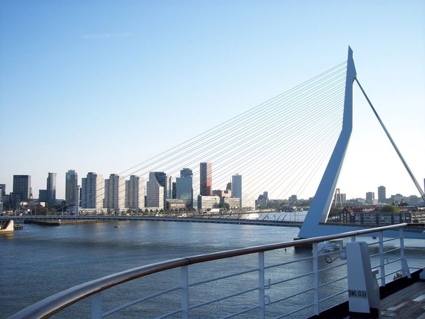 Best of Rotterdam: Small-Group Walking Tour - Inclusions