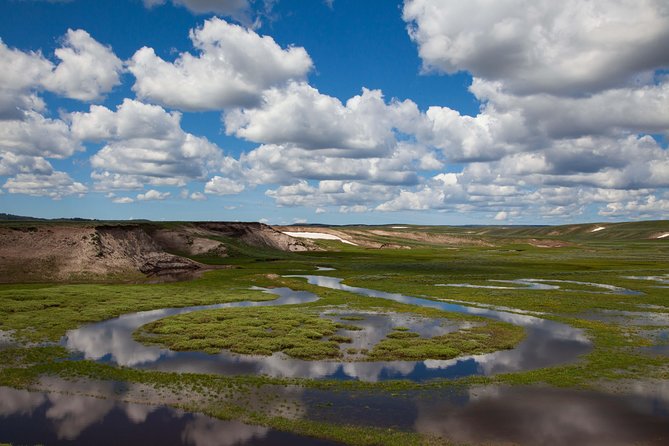 Best of Yellowstone - Guided National Park Safari Tour - Traveler Experience Insights