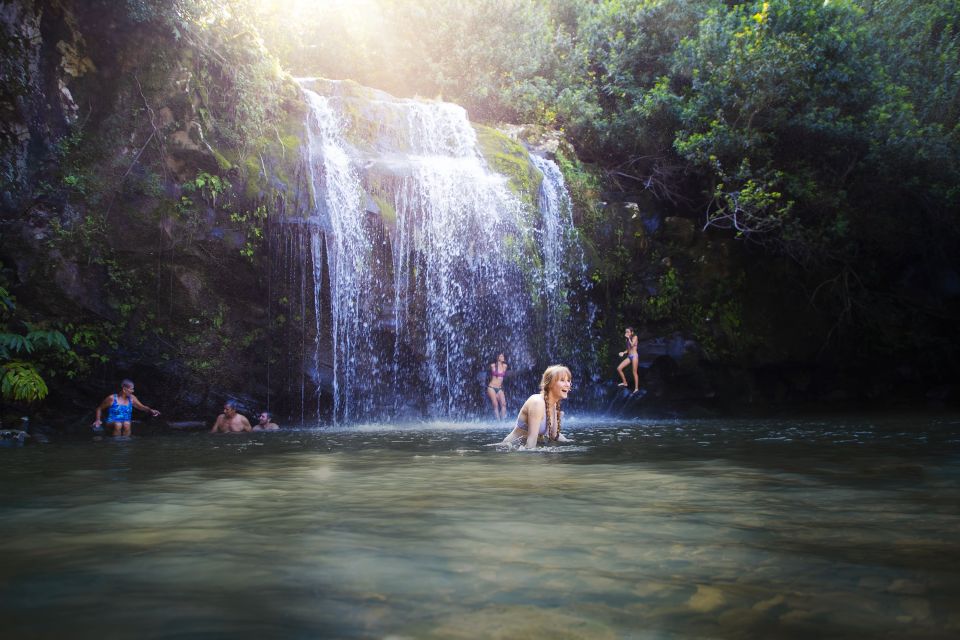 Big Island: Full Day Adventure Tour of the Kohala Waterfalls - Off-Road Adventure in 4WD Van