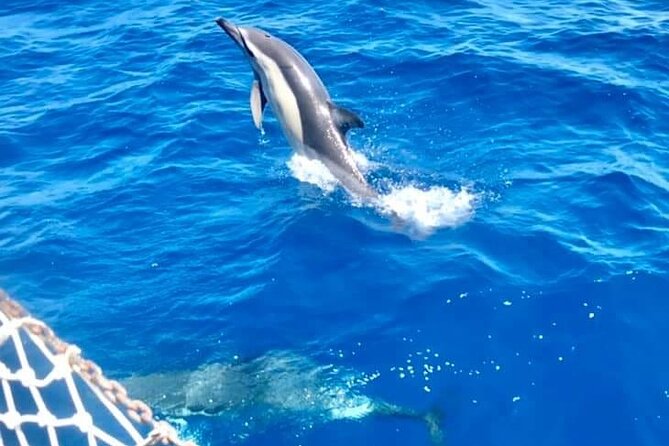 Boat Tour in Mondello Bay in Sicily - Customer Support