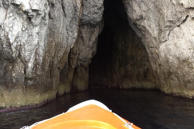 Boat Tour of Ortigia Island and Sea Caves - Tour Pricing and Details