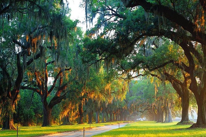 Boone Hall Plantation All-Access Admission Ticket - Visitor Experience Highlights