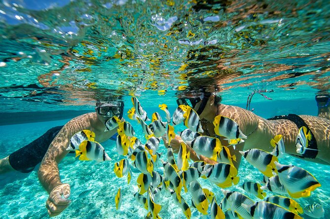 Bora Bora Private Half-Day Snorkeling With On-Board Lunch - Cancellation Policy