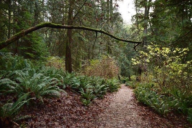 Bowen Island Ferry, Hike & Photography - Photography Tips and Techniques