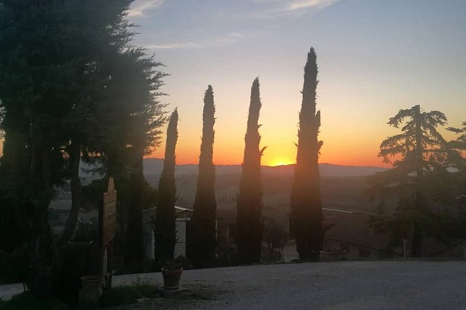 Brunello Wine Tour and Val DOrcia Landscape - Experience Insights
